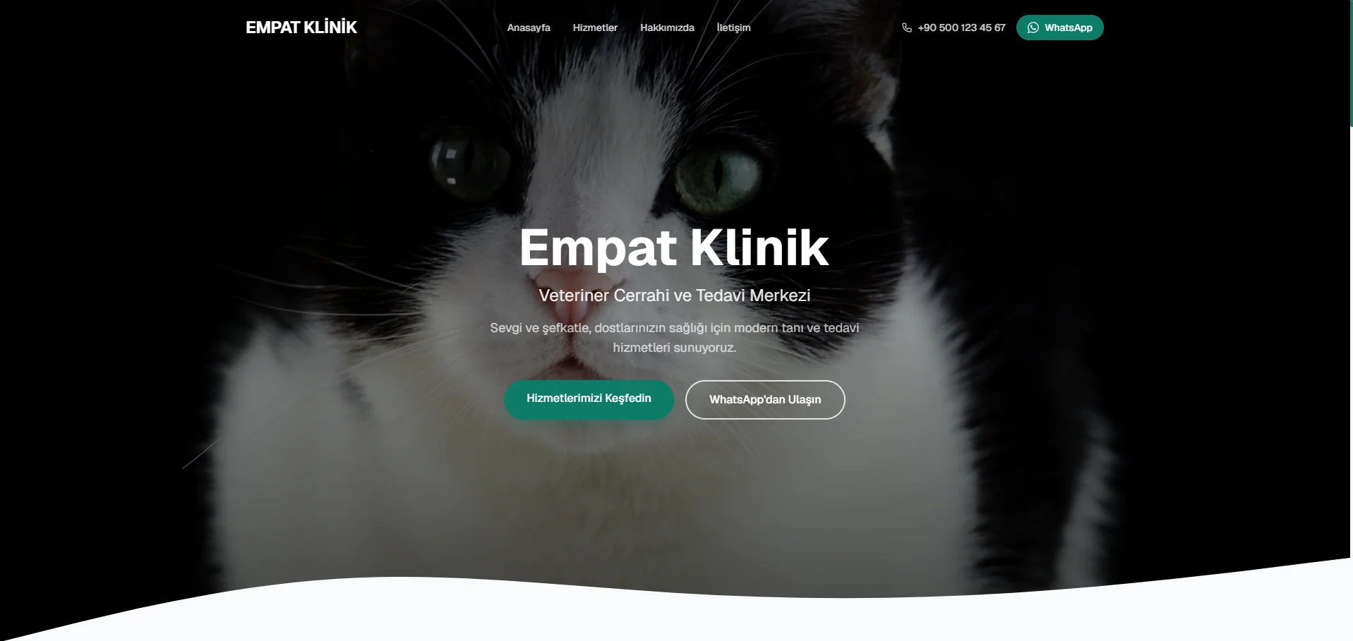 Empat Klinik — Veteriner Cerrahi Merkezi